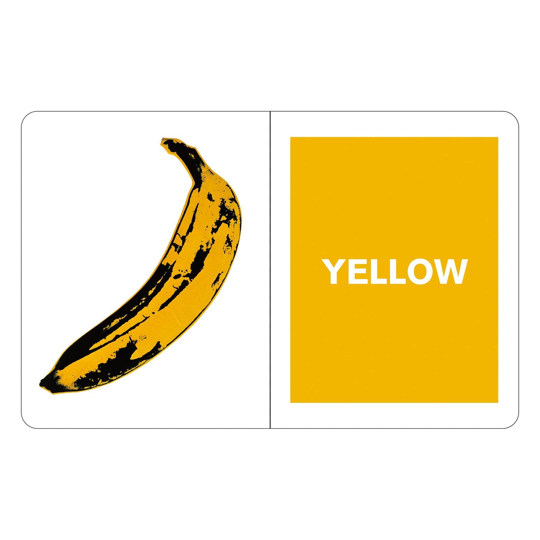 Andy Warhol What Colors Do You See? Board Book (Pre - Order) - Boho Fabrics -