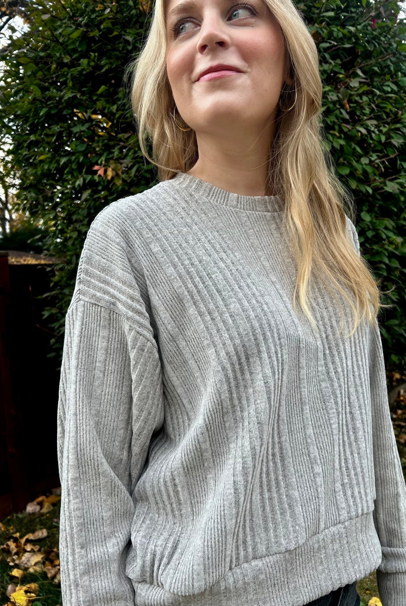 Cozy Stripe, Brushed Rib Knit in Oatmeal Ash - Boho Fabrics - Rib Solid, Knit Fabric