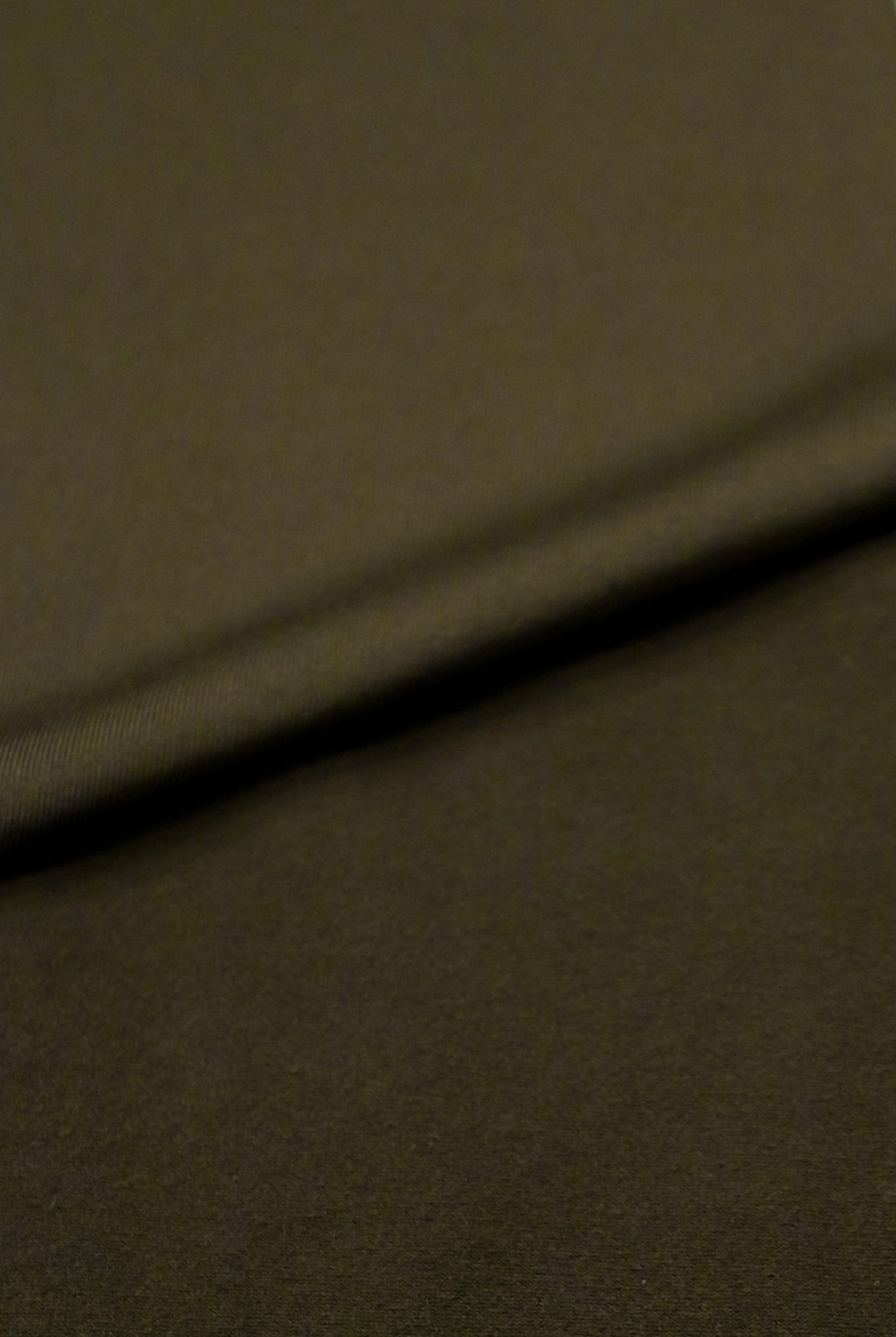 Cypress Green, Fleece Backed, Athletic Brushed Poly Knit - Boho Fabrics