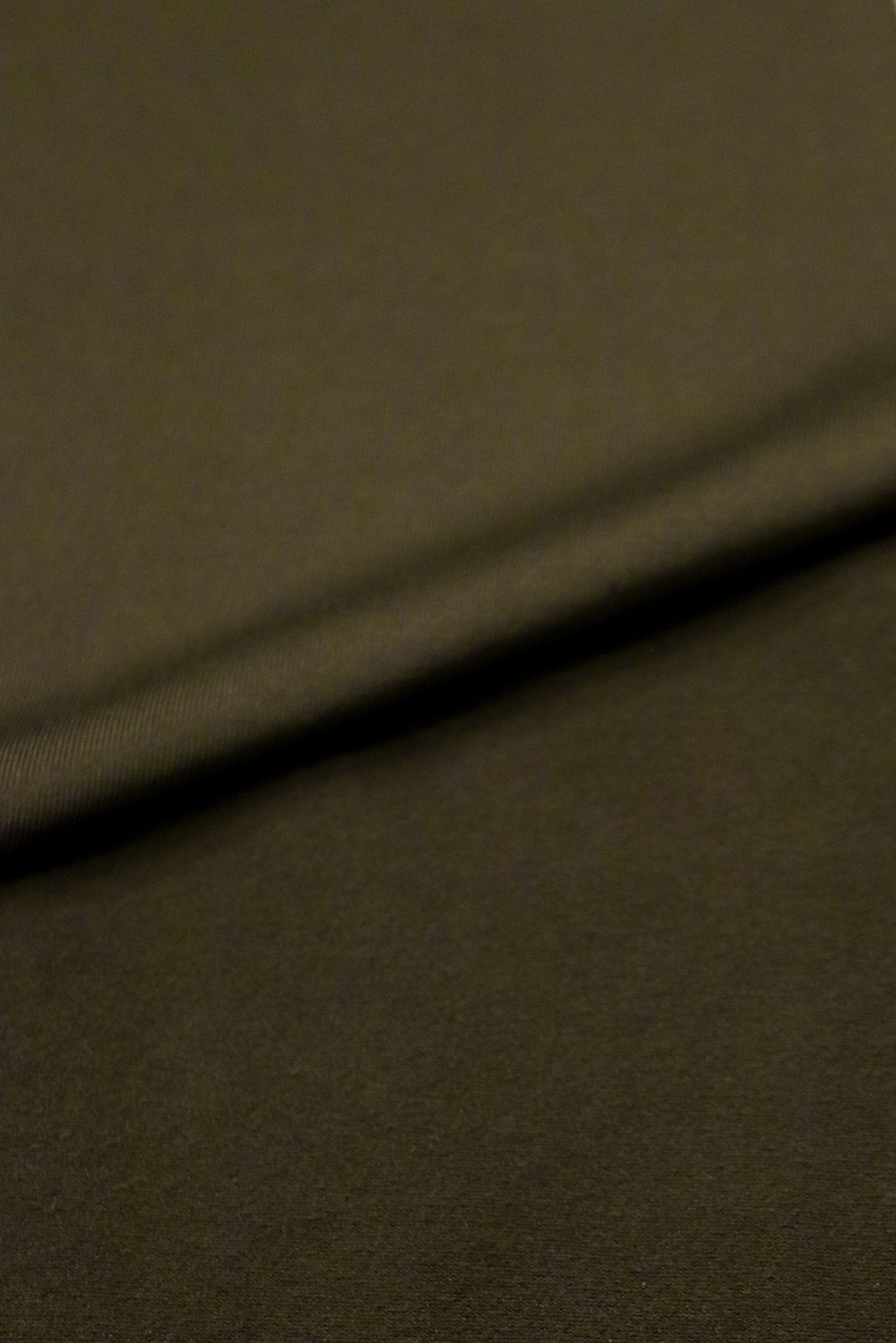 Cypress Green, Fleece Backed, Athletic Brushed Poly Knit - Boho Fabrics