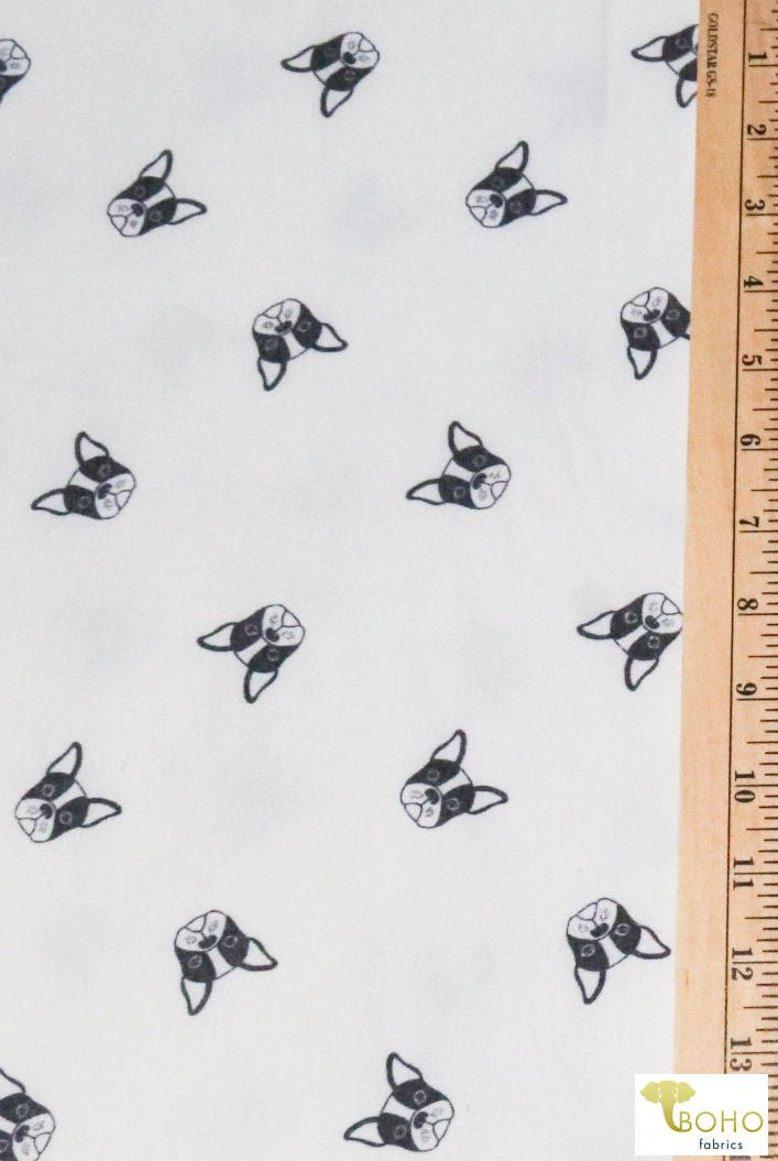 Frenchies on White, Dog French Terry Knit Print. FTP-323-WHT - Boho Fabrics