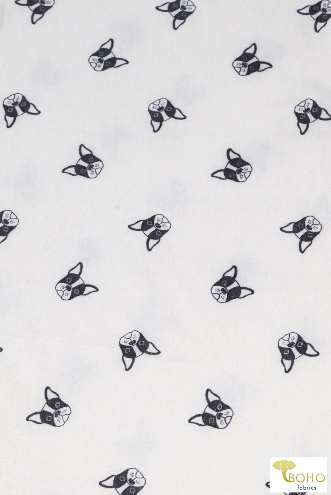 Frenchies on White, Dog French Terry Knit Print. FTP-323-WHT - Boho Fabrics