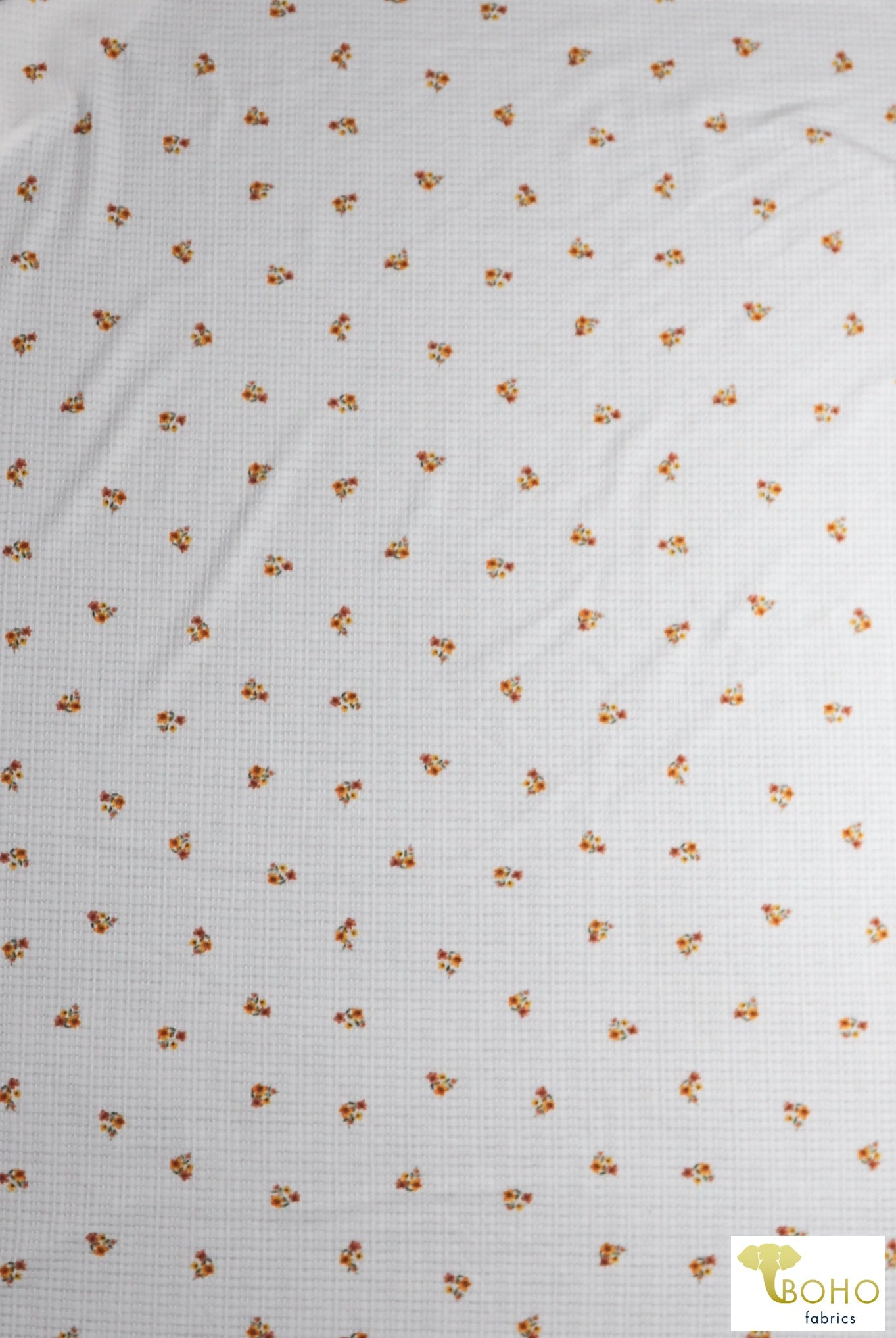 Golden Daisies on White, Pointelle Rib Knit. RIB-131 - Boho Fabrics