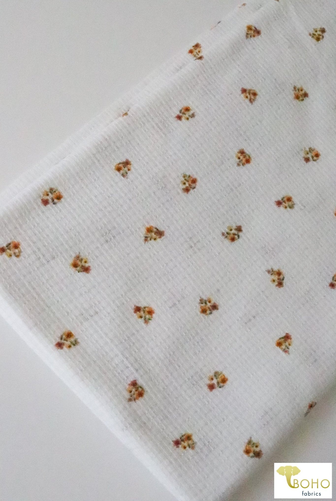 Golden Daisies on White, Pointelle Rib Knit. RIB-131 - Boho Fabrics