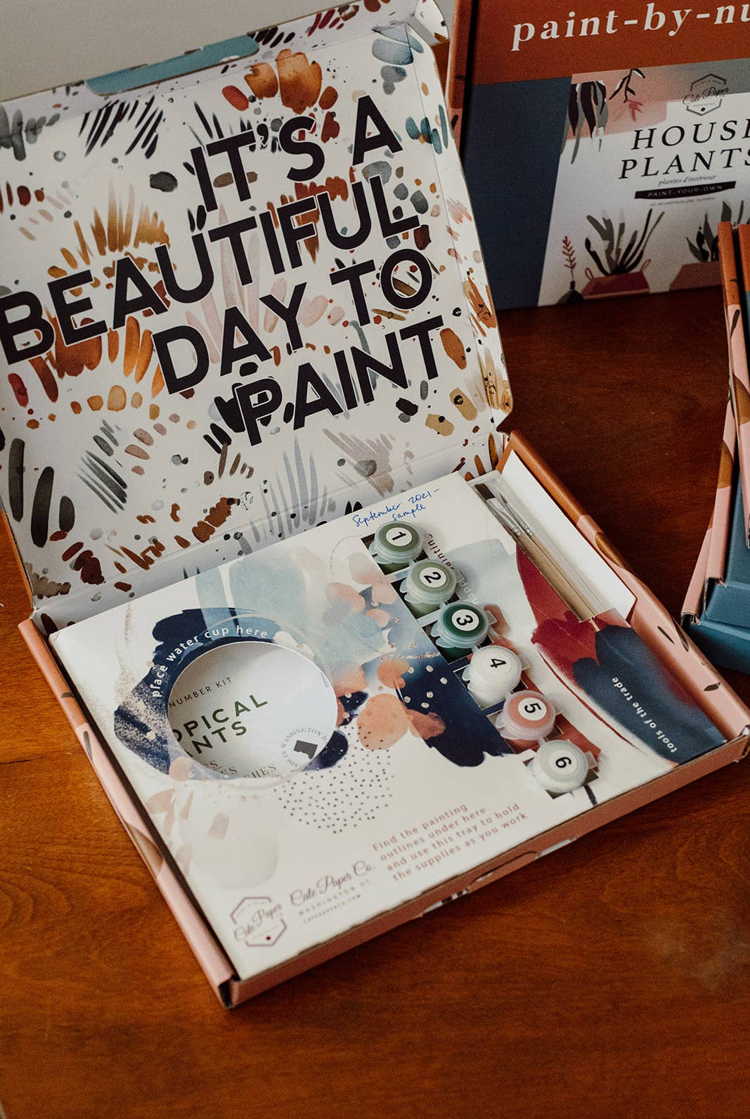 House Plants Paint - By - Numbers kit - Boho Fabrics -