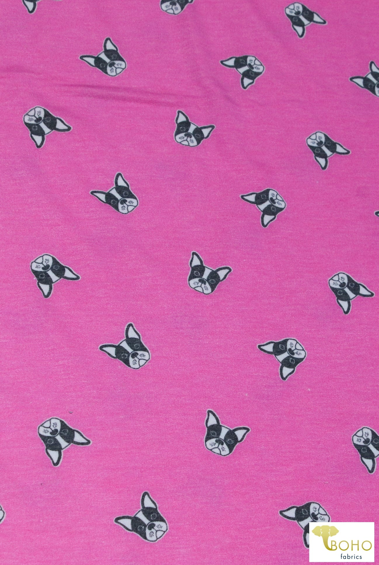 Last Cuts! Frenchies on Bubblegum Pink, Dog French Terry Knit Print, FTP-323-PNK - Boho Fabrics - French Terry Prints, Knit Fabric