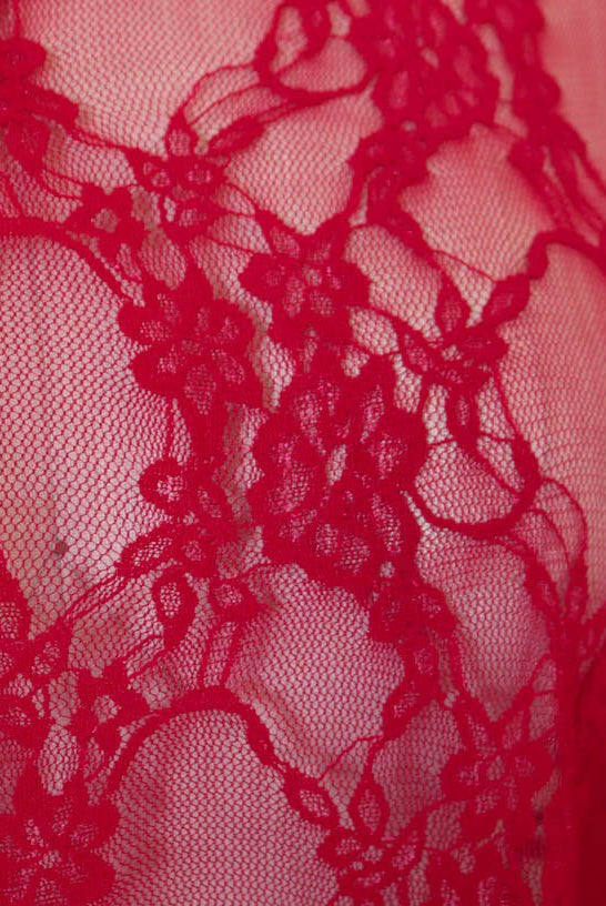 Petite Floral Stretch Lace in Red. SL-108-RED. - Boho Fabrics
