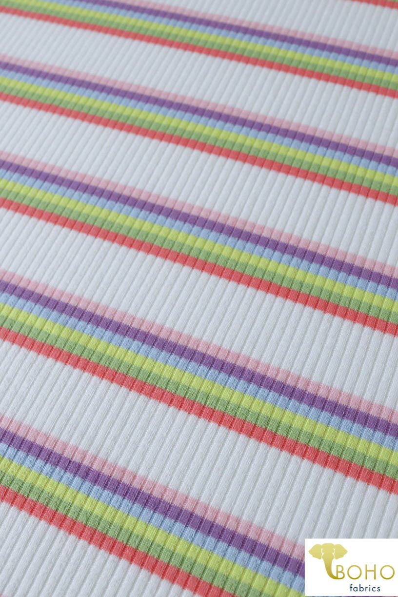 Rainbow Stripes in Muted Color Palette Rib Knit. RIB-124 - Boho Fabrics