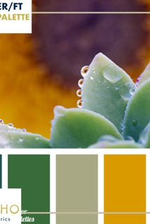 "Savory Succulents" Sweater/French Terry Knit Palette Bundle - Boho Fabrics