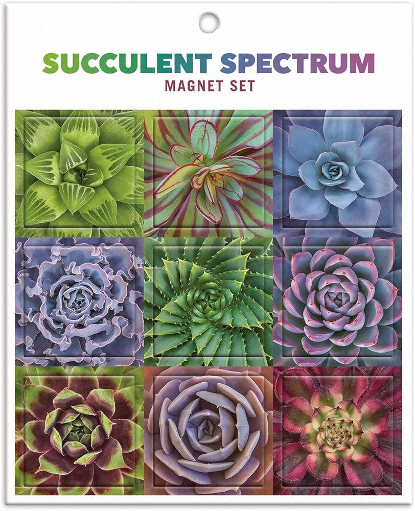 Succulent Spectrum Magnet Set - Boho Fabrics - Journals & Stationery