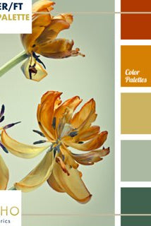 "Warm Florals" Sweater/French Terry Knit Palette Bundle - Boho Fabrics