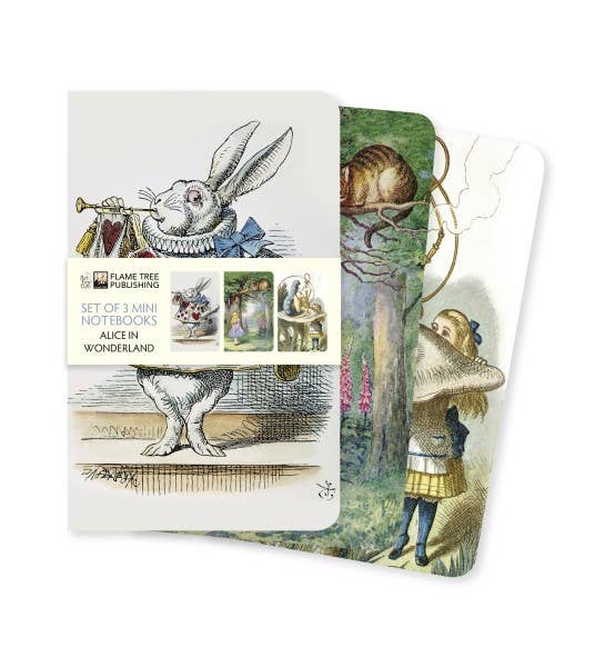 Alice In Wonderland Set of 3 Mini Notebooks - Boho Fabrics - Journals & Stationery