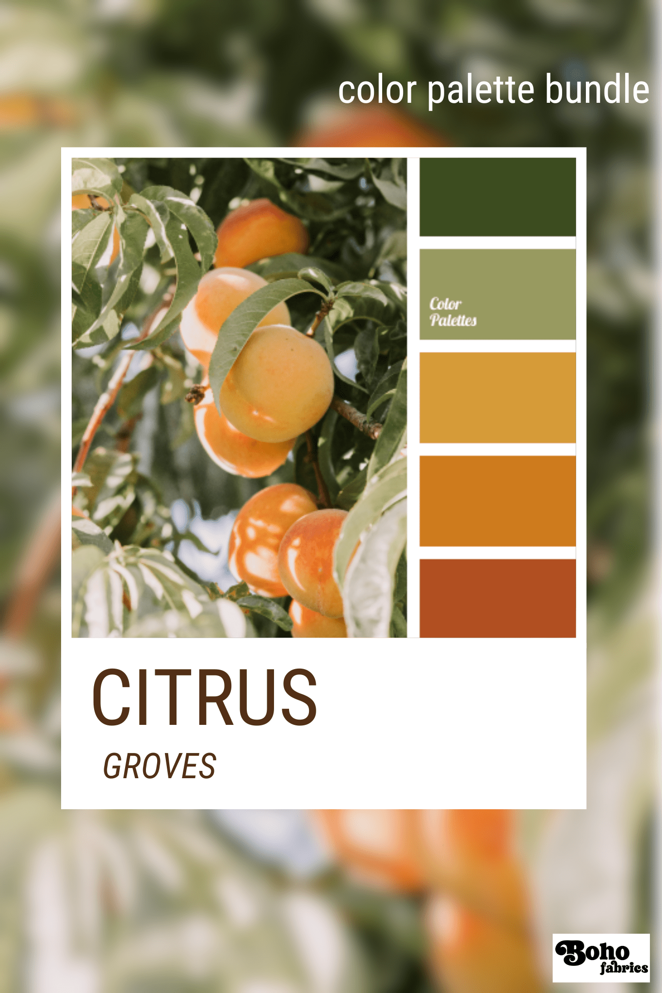 Citrus Groves, Mystery Color Palette Bundle - Boho Fabrics - Fabric Bundles