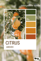 Citrus Groves, Mystery Color Palette Bundle - Boho Fabrics - Fabric Bundles