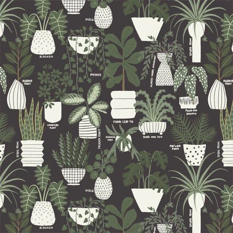 Cloud 9 Organic Quilting Cotton Fabric – Planted Inner Growth (227593) - Boho Fabrics - Quilting Cotton, Woven