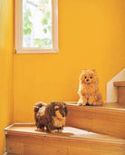 Crochet Your Own Dog - Boho Fabrics - Books