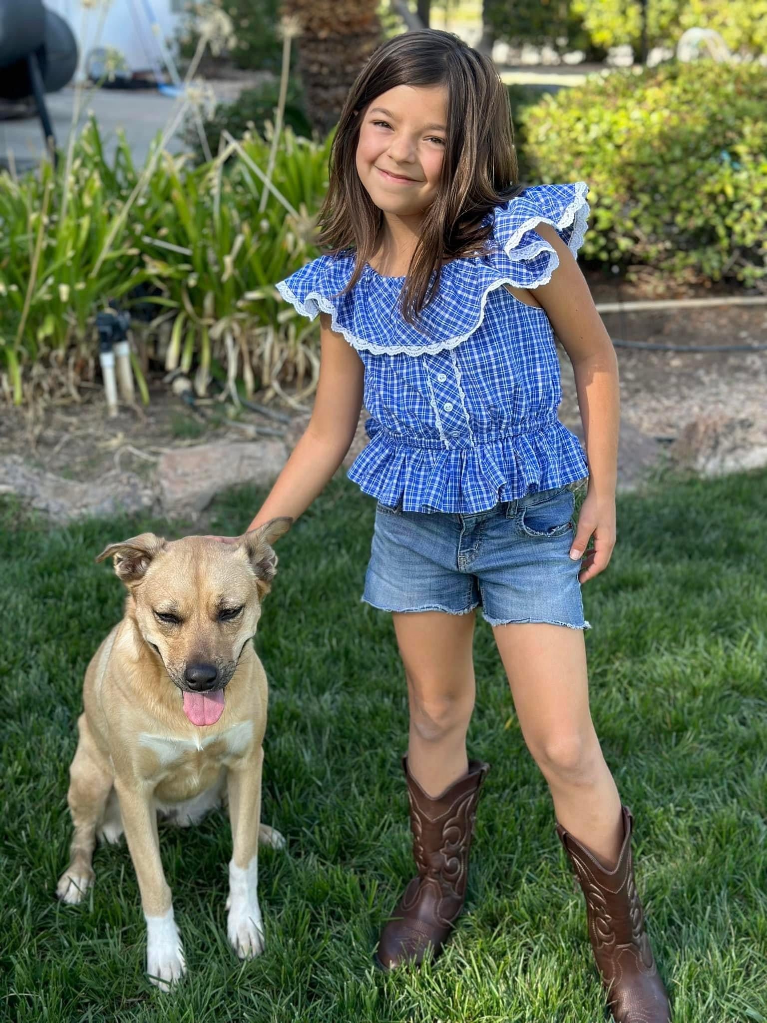 Dorothy Blue Plaid, Cotton Woven Shirting Fabric - Boho Fabrics