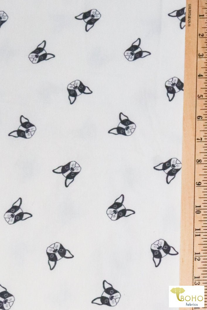 Frenchies on White, Dog French Terry Knit Print. FTP-323-WHT - Boho Fabrics