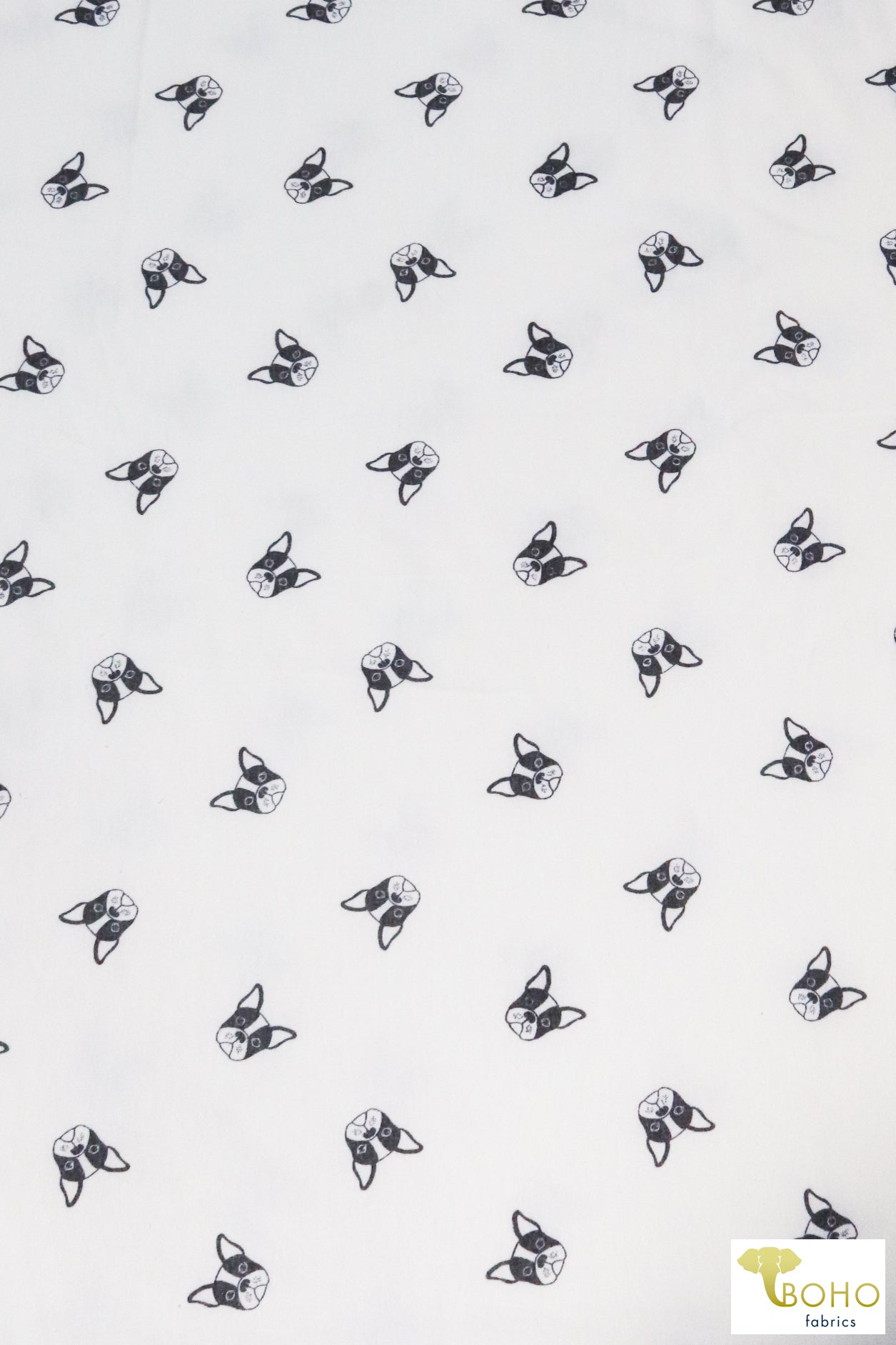 Frenchies on White, Dog French Terry Knit Print. FTP-323-WHT - Boho Fabrics
