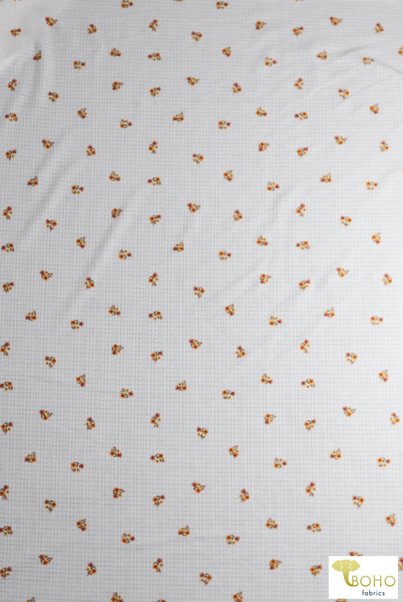 Golden Daisies on White, Pointelle Rib Knit. RIB-131 - Boho Fabrics