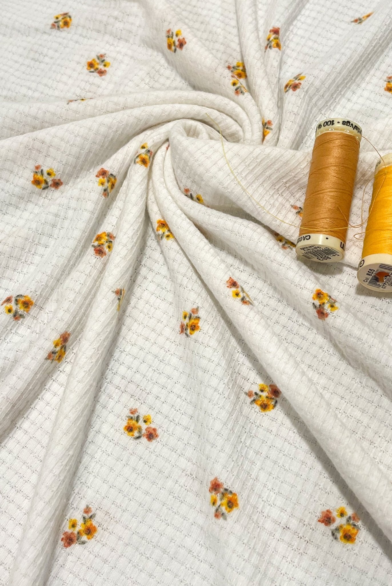 Golden Daisies on White, Pointelle Rib Knit. RIB-131 - Boho Fabrics