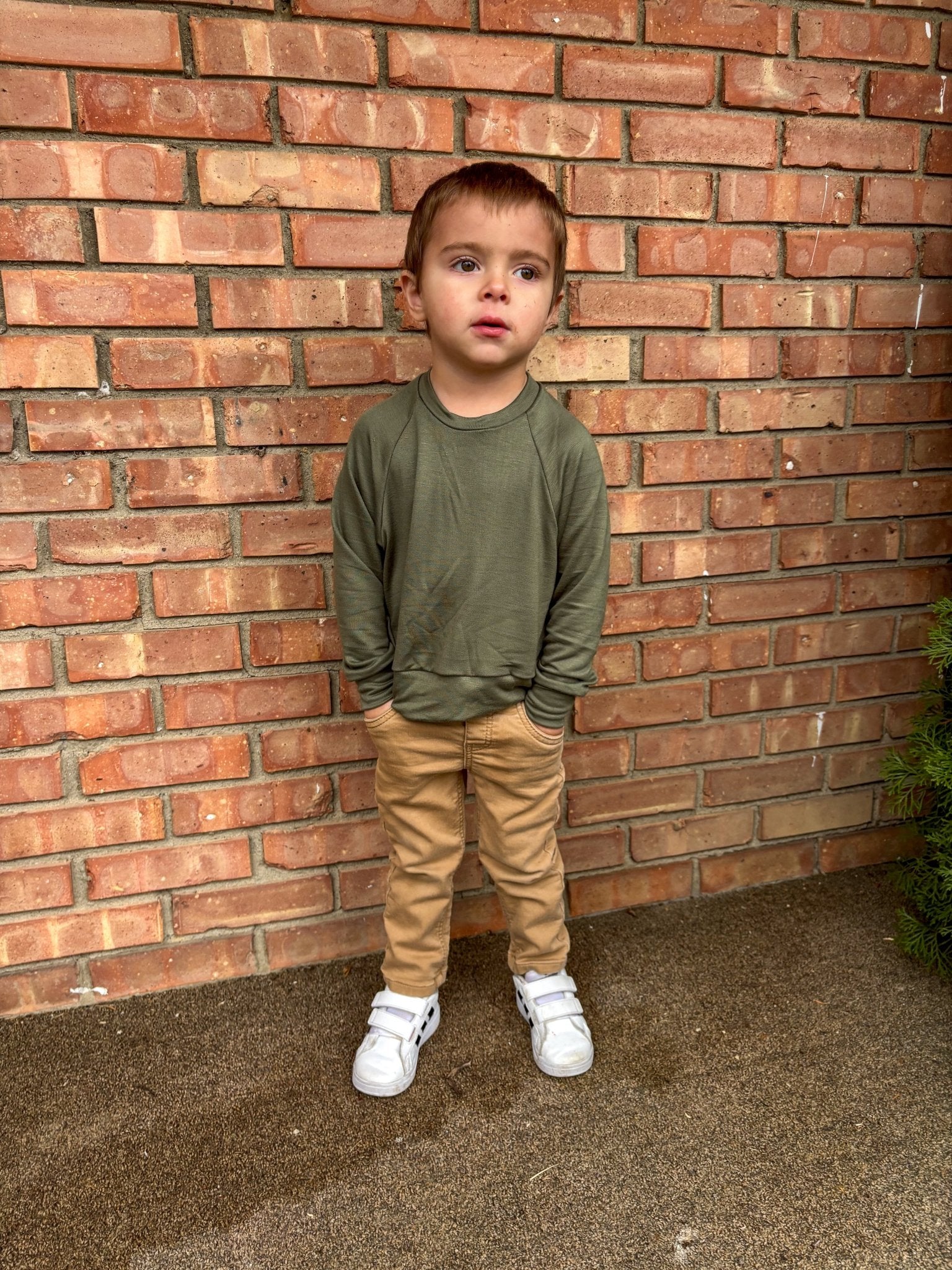 Green, French Terry Solid Knit Fabric - Boho Fabrics - French Terry Solid Knit