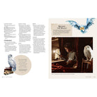 Harry Potter: Knitting Magic - Boho Fabrics - Books