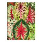 Houseplant Jungle Greeting Assortment Notecards - Boho Fabrics - Journals & Stationery