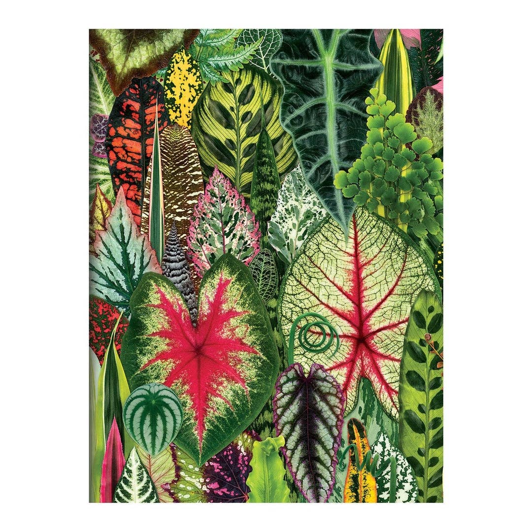Houseplant Jungle Greeting Assortment Notecards - Boho Fabrics - Journals & Stationery