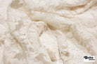 Ivory, Celestial Embroidered Mesh Fabric - Boho Fabrics - Special Occasion Fabric