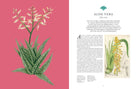 Kew: Rare Plants - Boho Fabrics - Books