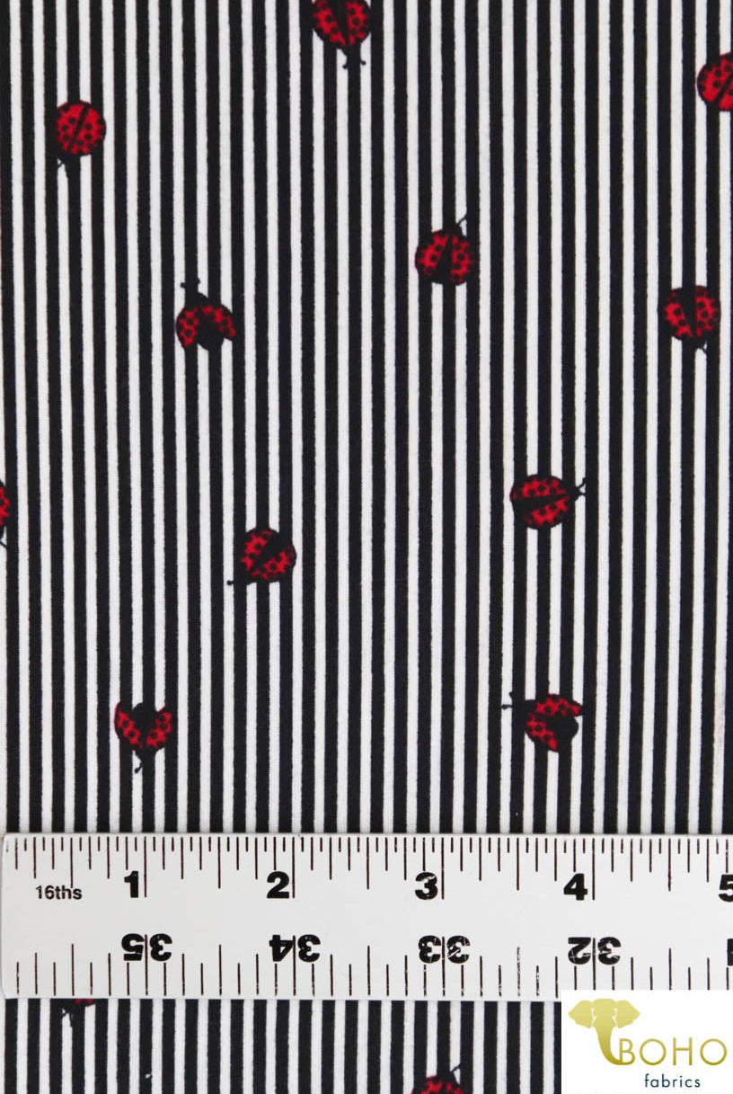 Ladybug Stripes in Black. Double Brushed Poly Knit Fabric. BP-134-BLK - Boho Fabrics