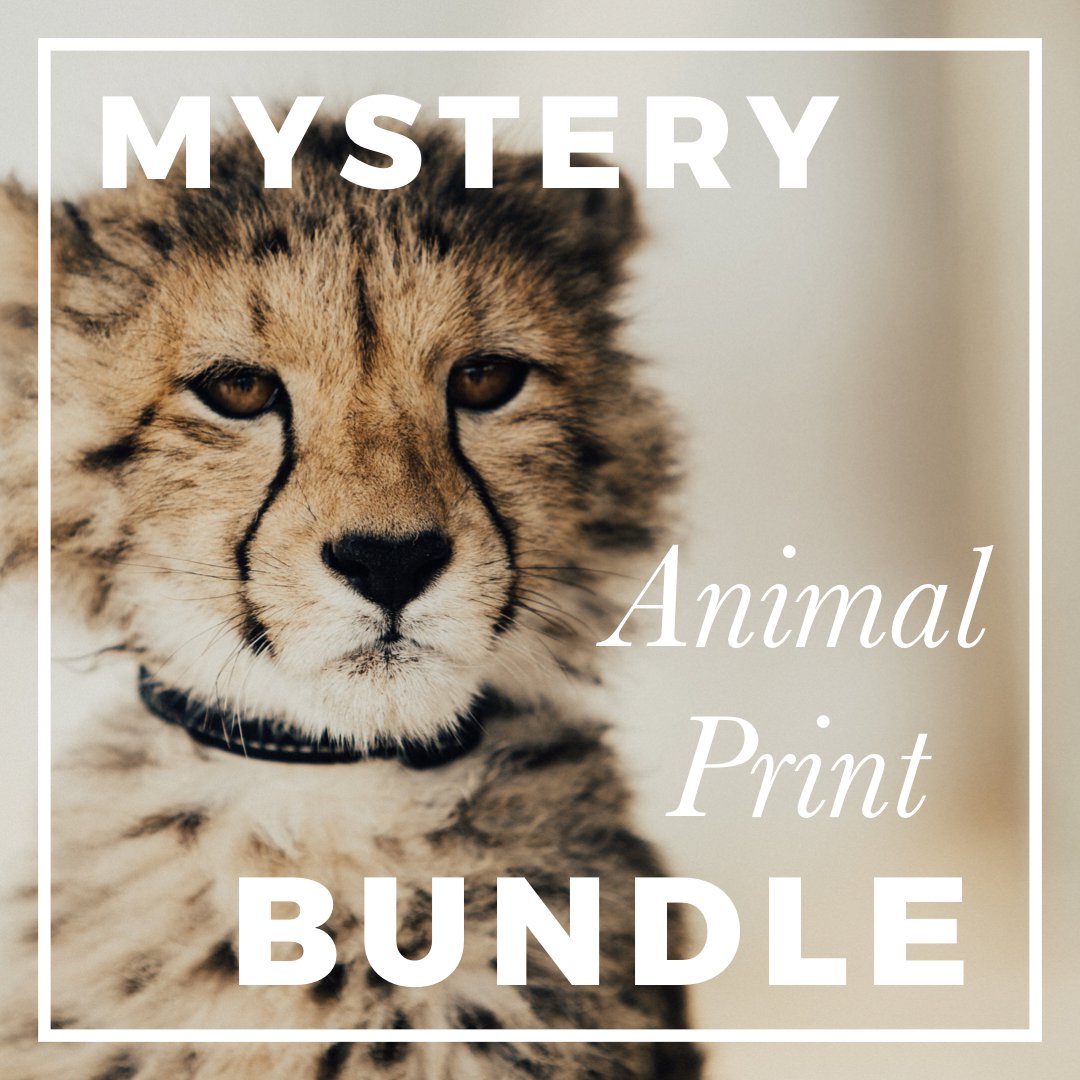 Mystery Animal Print Fabric Bundle; ALL PRINTS - Boho Fabrics