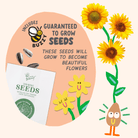 Paint & Grow - Banana - Boho Fabrics - Art & Craft Kits