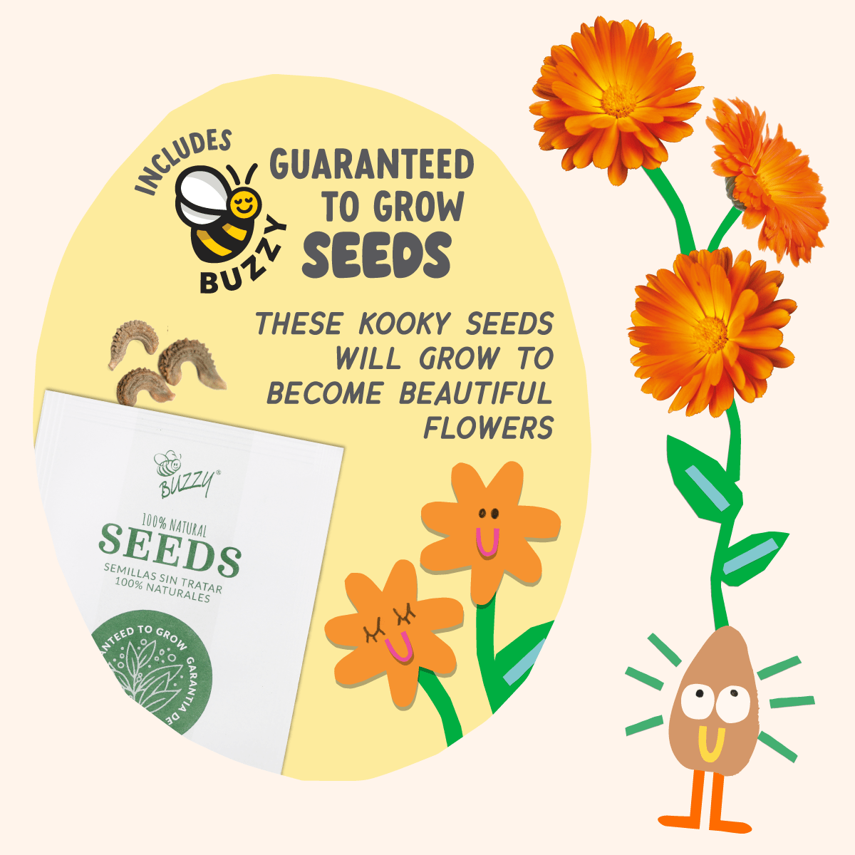 Paint & Grow - Orange - Boho Fabrics - Art & Craft Kits