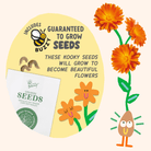 Paint & Grow - Orange - Boho Fabrics - Art & Craft Kits