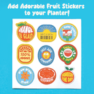 Paint & Grow - Orange - Boho Fabrics - Art & Craft Kits