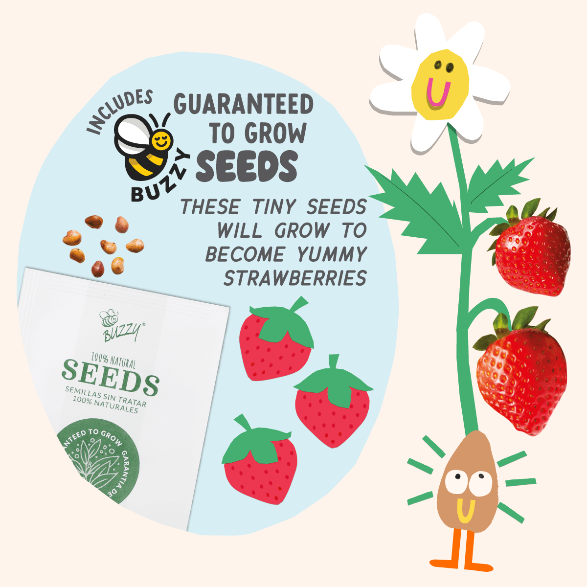 Paint & Grow - Strawberry - Boho Fabrics - Art & Craft Kits