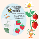 Paint & Grow - Strawberry - Boho Fabrics - Art & Craft Kits