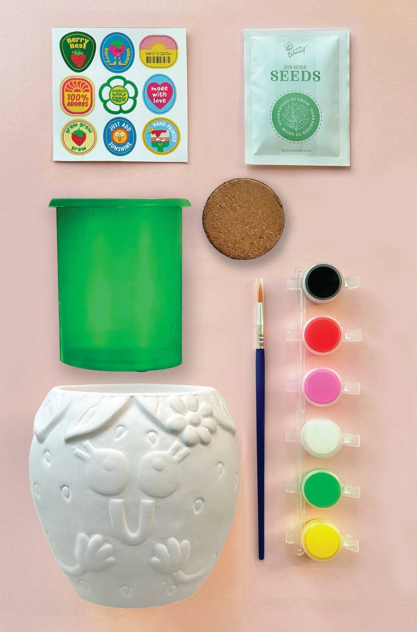 Paint & Grow - Strawberry - Boho Fabrics - Art & Craft Kits