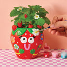 Paint & Grow - Strawberry - Boho Fabrics - Art & Craft Kits
