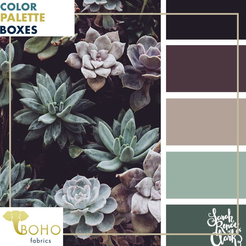 "Plum & Succulents", Mystery Color Palette Box. - Boho Fabrics