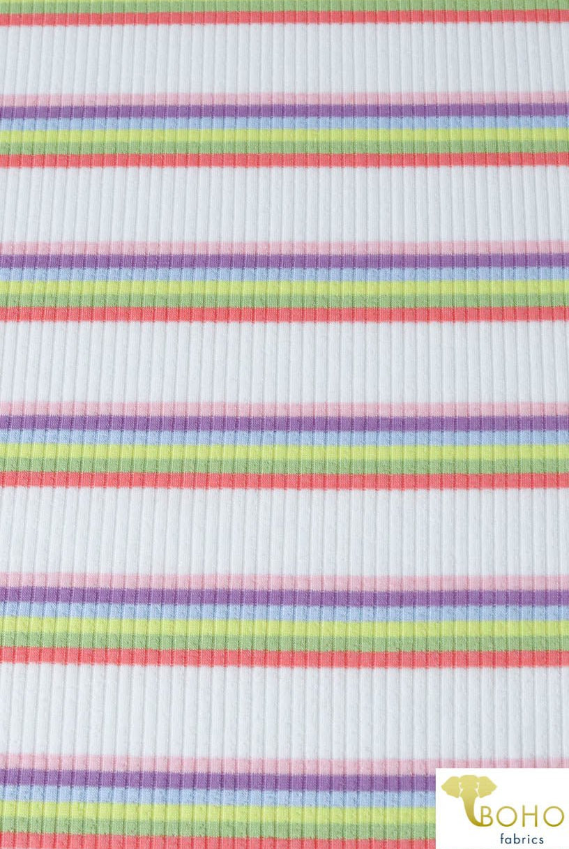 Rainbow Stripes in Muted Color Palette Rib Knit. RIB-124 - Boho Fabrics