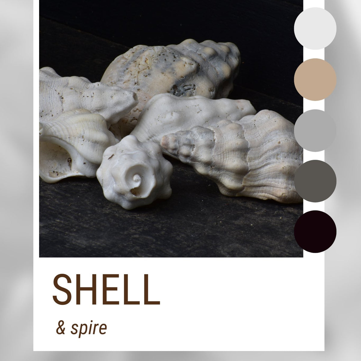 Shell & Spire, Mystery Color Palette Bundle – Boho Fabrics