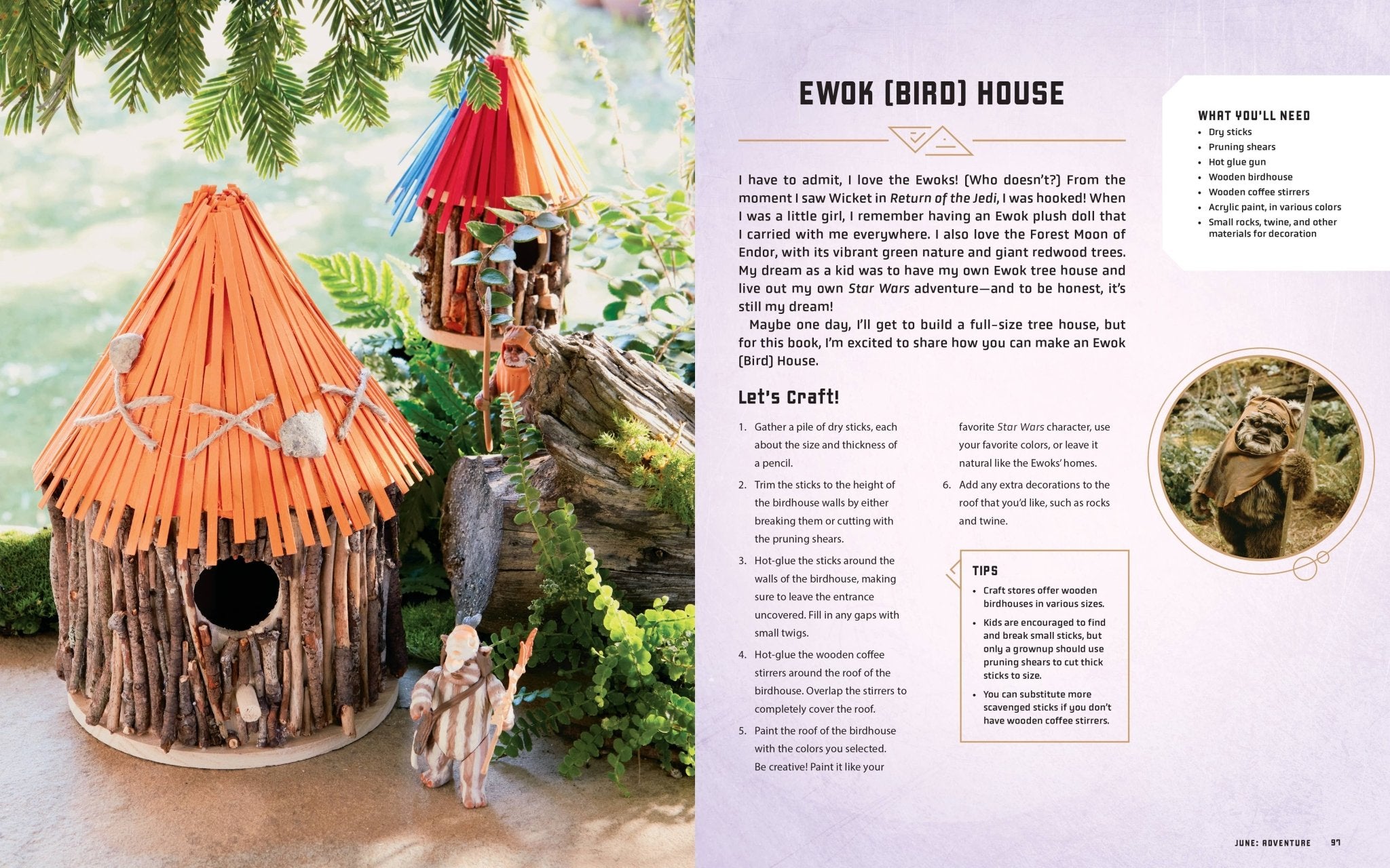 Star Wars Everyday (SALE!) - Boho Fabrics - Books