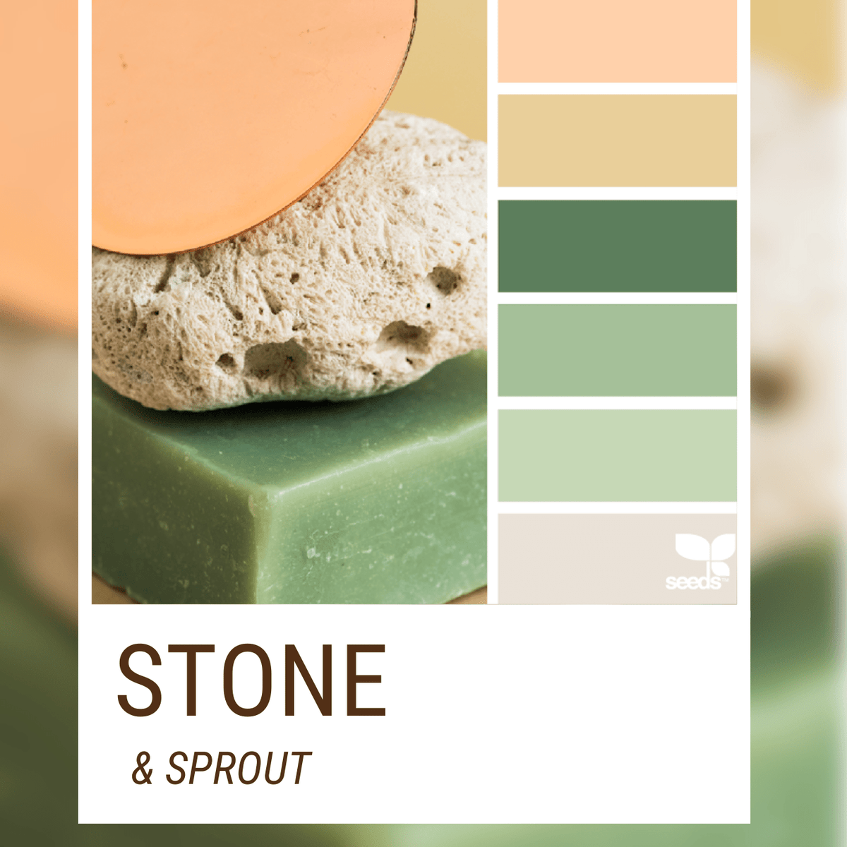 Stone & Sprout, Mystery Color Palette Bundle – Boho Fabrics