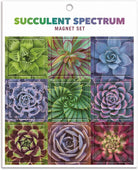 Succulent Spectrum Magnet Set - Boho Fabrics - Journals & Stationery