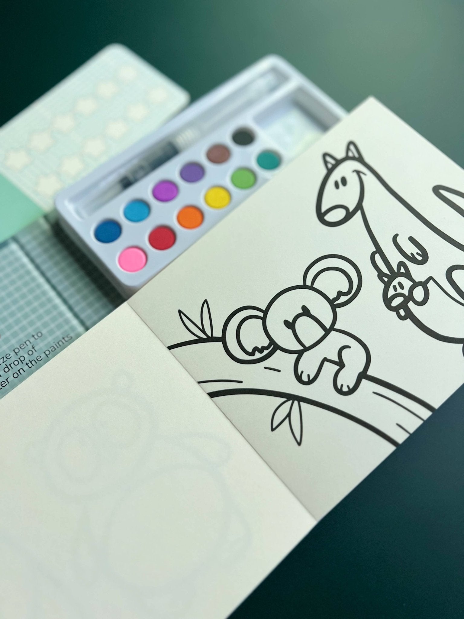 Watercolor Book and Paint Set - Animal Kingdom - Boho Fabrics - Painting Kits & Supplies