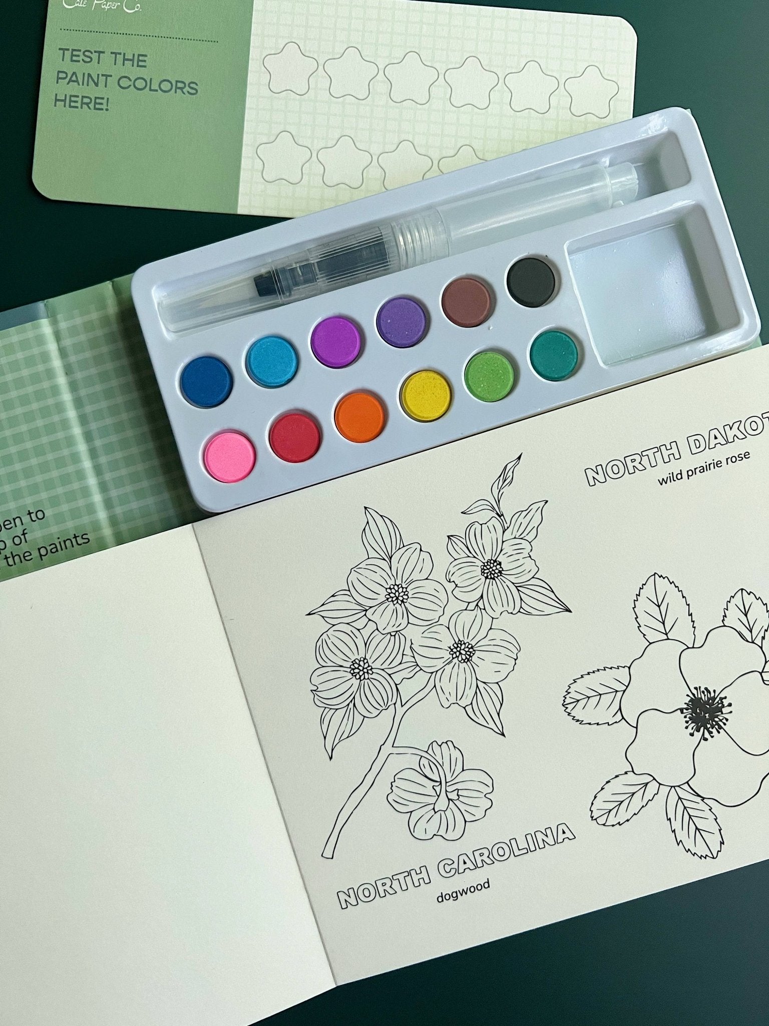 Watercolor Book and Paint Set - State Flowers - Boho Fabrics - Painting Kits & Supplies