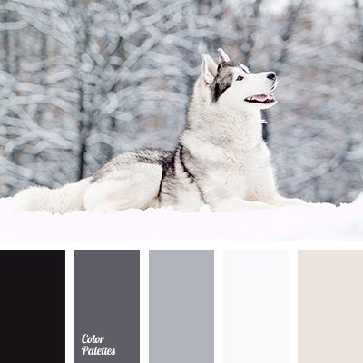 "Winter Wolf" Sweater/FT Knit Palette Bundle. - Boho Fabrics